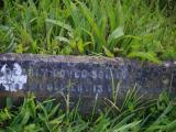 image of grave number 953939